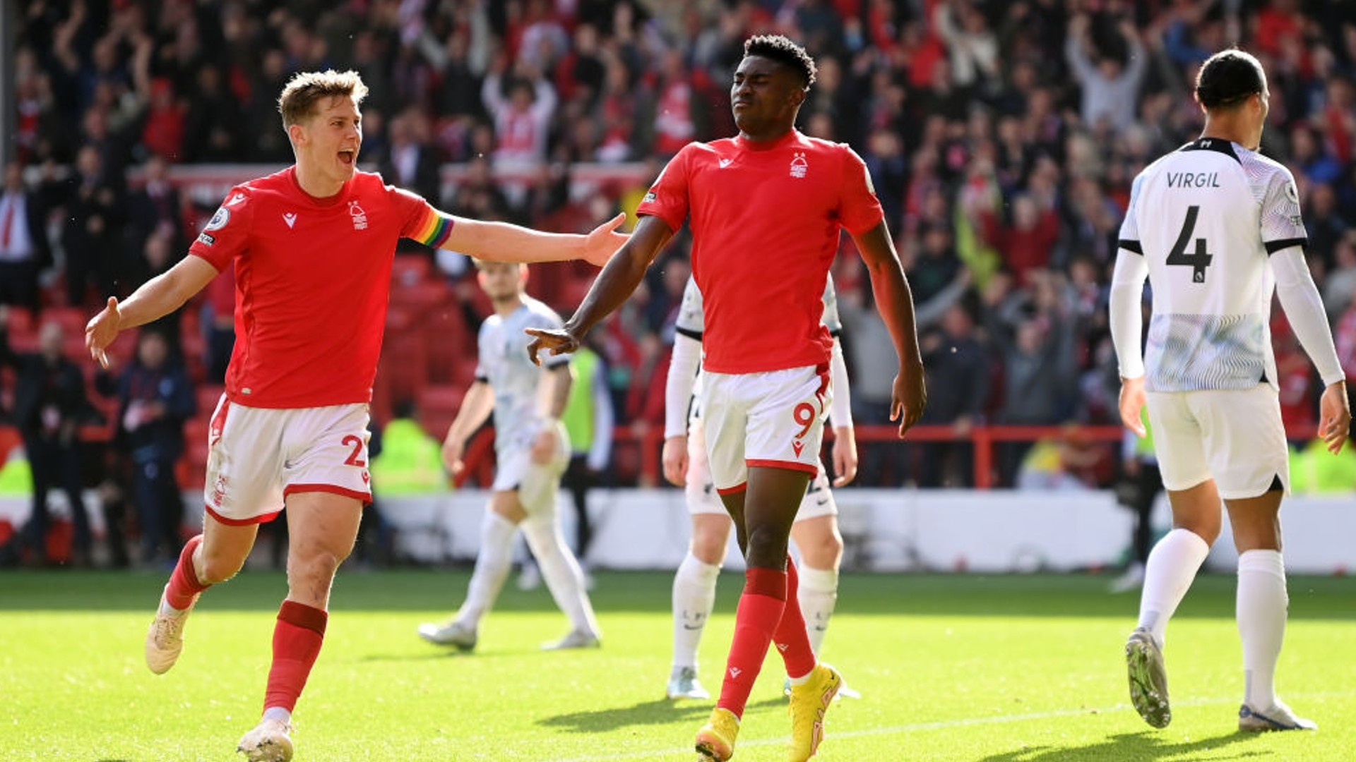 托玛塞莉的 托玛塞莉的